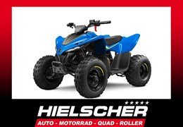 Neumotorrad CFMOTO CForce 110