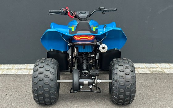 Neufahrzeug CFMOTO CForce 110 - Bild 23