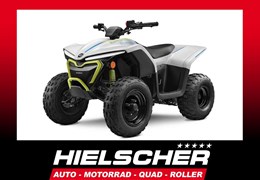 Neumotorrad CFMOTO CForce 110