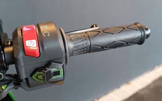 Neufahrzeug Kawasaki Z e-1 - Bild 17