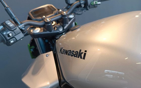 Neufahrzeug Kawasaki Z e-1 - Bild 19