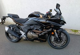 Neumotorrad QJ Motor SRK 600 RS