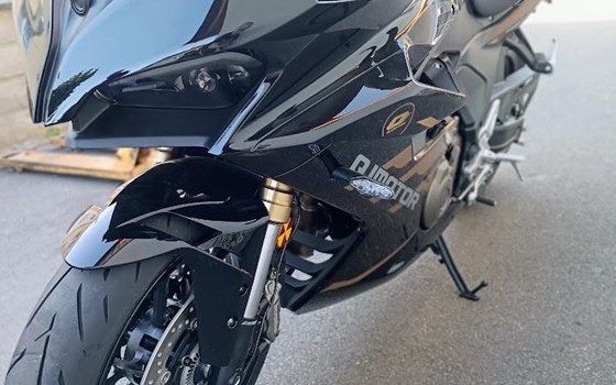 Neufahrzeug QJ Motor SRK 600 RS - Bild 5