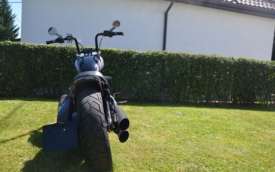 Gebrauchtmotorrad Harley-Davidson Dyna Street Bob Special - Bild 10 Gebrauchtmotorrad Harley-Davidson Dyna Street Bob Special - Bild 10