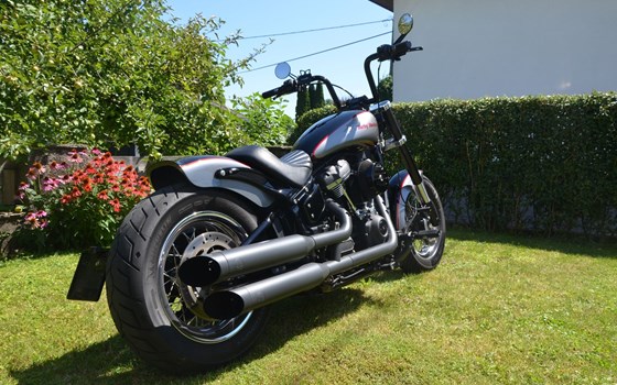 Gebrauchtmotorrad Harley-Davidson Dyna Street Bob Special - Bild 3 Gebrauchtmotorrad Harley-Davidson Dyna Street Bob Special - Bild 3