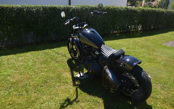 Gebrauchtmotorrad Harley-Davidson Dyna Street Bob Special - Bild 7 Gebrauchtmotorrad Harley-Davidson Dyna Street Bob Special - Bild 7