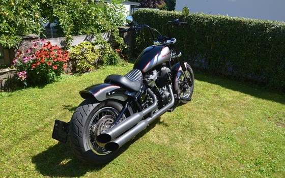 Gebrauchtmotorrad Harley-Davidson Dyna Street Bob Special - Bild 8 Gebrauchtmotorrad Harley-Davidson Dyna Street Bob Special - Bild 8
