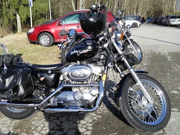 Gebrauchtmotorrad Harley-Davidson Sportster XL 883