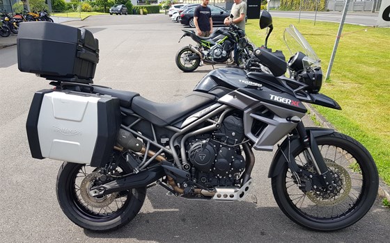 Gebrauchtmotorrad Triumph Tiger 800 XC - Bild 4