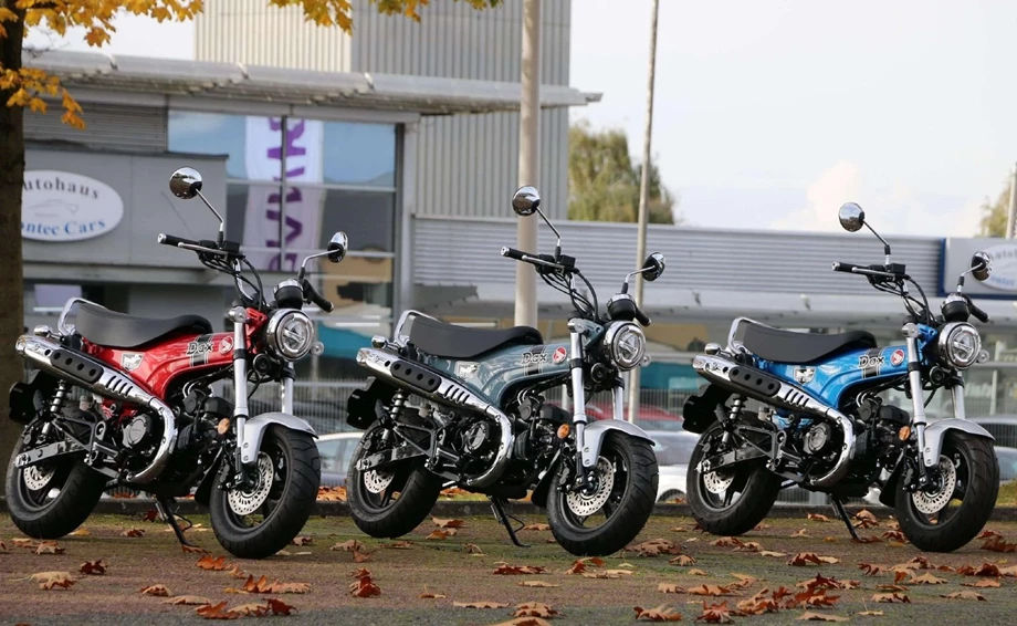 Offer Honda Dax 125 Bild 1: Offer Honda Dax 125