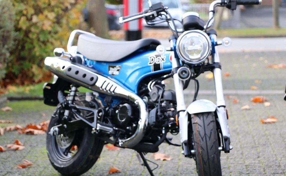 Offer Honda Dax 125 Bild 4: Offer Honda Dax 125