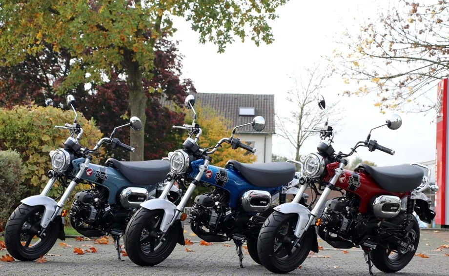 Offer Honda Dax 125 Bild 9: Offer Honda Dax 125