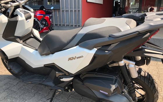 Gebrauchtmotorrad Honda ADV350 - Bild 3