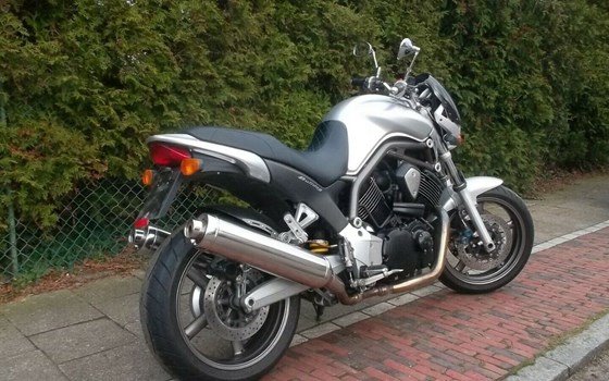 Gebrauchtmotorrad Yamaha BT 1100 Bulldog - Bild 3