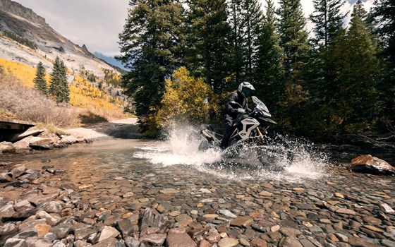 Gebrauchtmotorrad Triumph Tiger 1200 Rally PRO - Bild 14