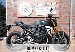 Neumotorrad Suzuki GSX-8T