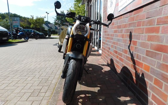 Neufahrzeug Suzuki GSX-8T - Bild 3