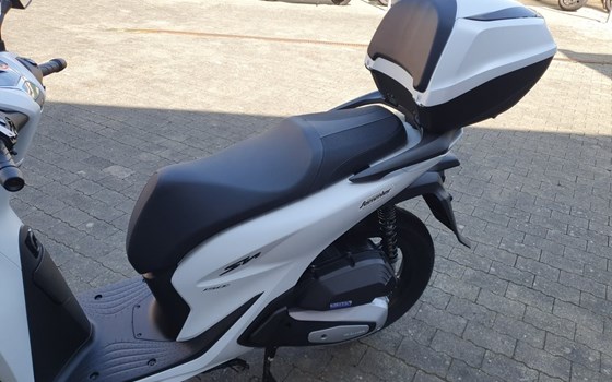 Gebrauchtmotorrad Honda SH150i - Bild 12