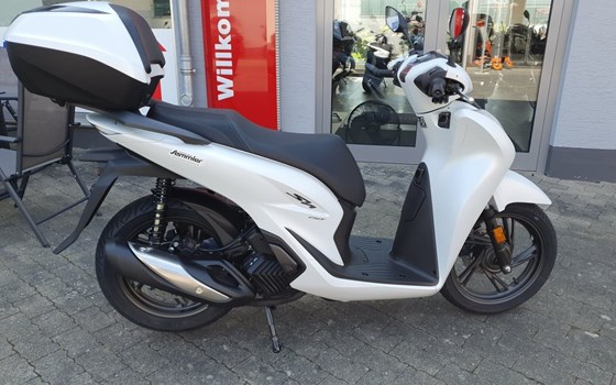 Neufahrzeug Honda SH150i - Bild 2