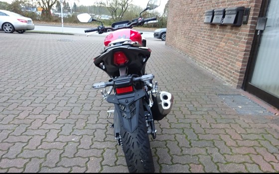 Gebrauchtmotorrad Honda CB500 Hornet - Bild 3