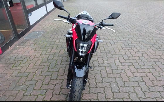 Gebrauchtmotorrad Honda CB500 Hornet - Bild 6