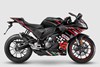 Aprilia RS 125 GP Replica