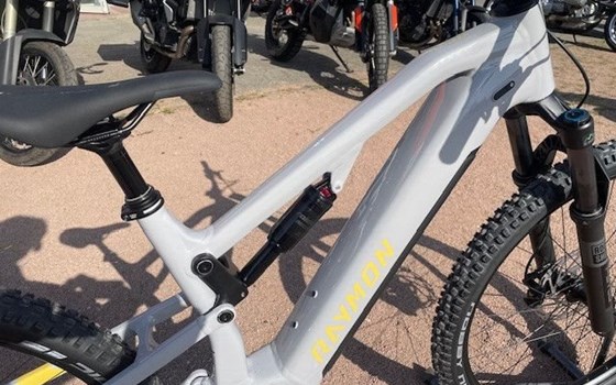 Neufahrzeug Raymon Trailray 120 Pro - Bild 5