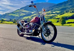 Gebrauchte Harley-Davidson Softail Springer FXSTS Gebrauchte Harley-Davidson Softail Springer FXSTS