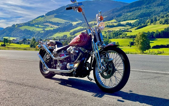 Gebrauchtmotorrad Harley-Davidson Softail Springer FXSTS - Bild 1 Gebrauchtmotorrad Harley-Davidson Softail Springer FXSTS - Bild 1