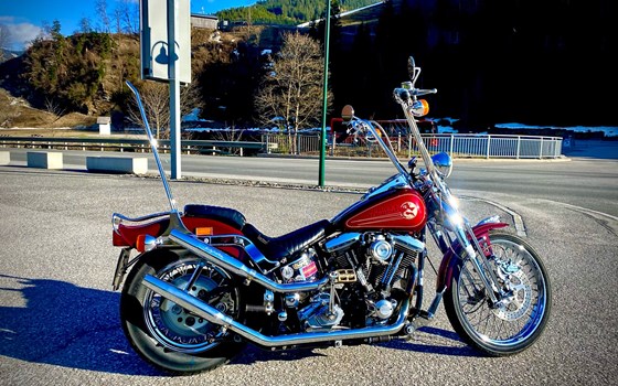 Gebrauchtmotorrad Harley-Davidson Softail Springer FXSTS - Bild 3 Gebrauchtmotorrad Harley-Davidson Softail Springer FXSTS - Bild 3