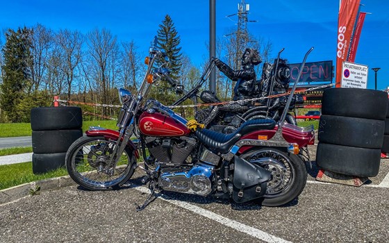 Gebrauchtmotorrad Harley-Davidson Softail Springer FXSTS - Bild 2 Gebrauchtmotorrad Harley-Davidson Softail Springer FXSTS - Bild 2