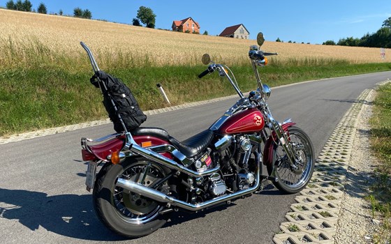 Gebrauchtmotorrad Harley-Davidson Softail Springer FXSTS - Bild 7 Gebrauchtmotorrad Harley-Davidson Softail Springer FXSTS - Bild 7