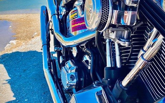 Gebrauchtmotorrad Harley-Davidson Softail Springer FXSTS - Bild 8 Gebrauchtmotorrad Harley-Davidson Softail Springer FXSTS - Bild 8