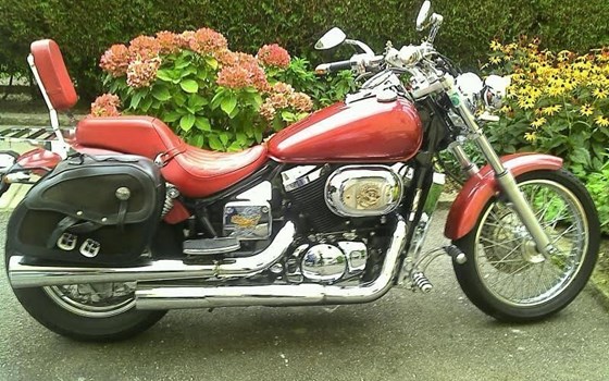 Gebrauchtmotorrad Honda VT 750 DC Black Widow - Bild 2