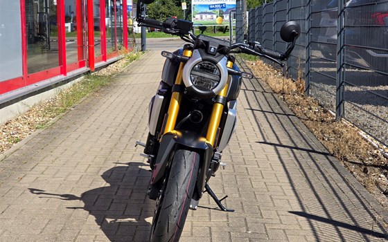 Neufahrzeug Suzuki GSX-8T - Bild 7