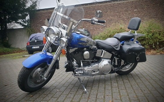 Gebrauchtmotorrad Harley-Davidson FXST/F - Bild 1