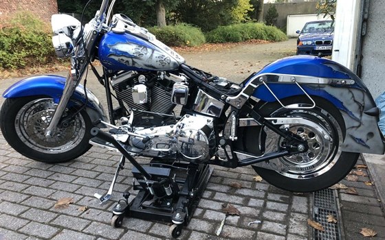 Gebrauchtmotorrad Harley-Davidson FXST/F - Bild 4