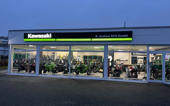 Gebrauchtmotorrad Kawasaki Z650 RS - Bild 11