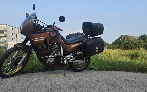 Gebrauchtmotorrad Honda XL 600V Transalp - Bild 3 Gebrauchtmotorrad Honda XL 600V Transalp - Bild 3