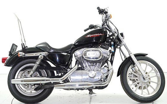 Motorrad Occasion Harley-Davidson Sportster XL 883 - Bild 4