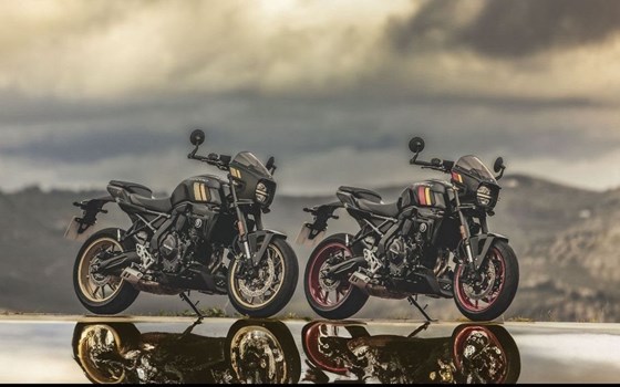 Neufahrzeug Suzuki GSX-8TT - Bild 3