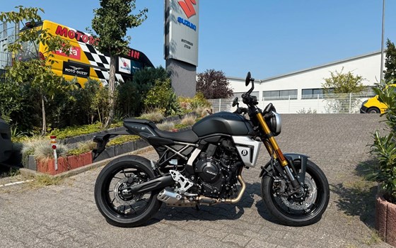 Neufahrzeug Suzuki GSX-8T - Bild 1