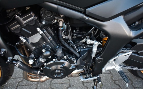 Neufahrzeug Honda CB1000 Hornet SP - Bild 5