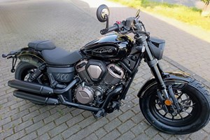 Angebot Benda Chinchilla 500
