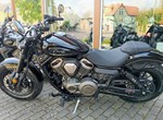 Angebot Benda Chinchilla 500