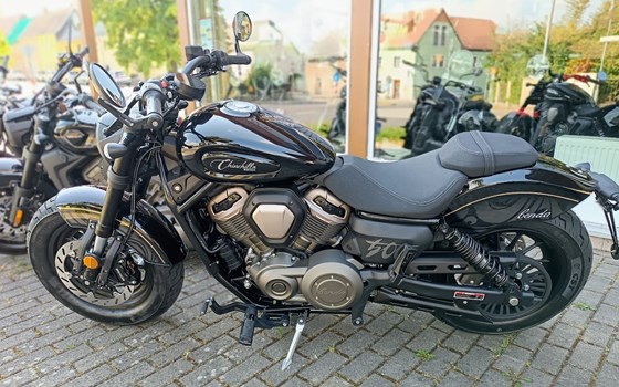 Neufahrzeug Benda Chinchilla 500 - Bild 3