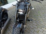 Angebot Benda Chinchilla 500