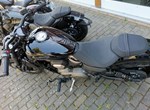 Angebot Benda Chinchilla 500
