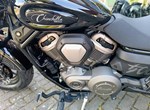 Angebot Benda Chinchilla 500