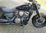 Angebot Benda Chinchilla 500